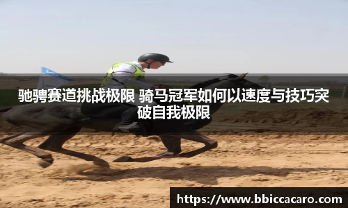 ng体育·南宫官方网站